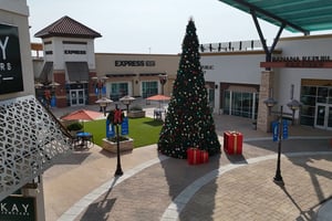 12-Jan-07-2026-05-53-03-1696-PM