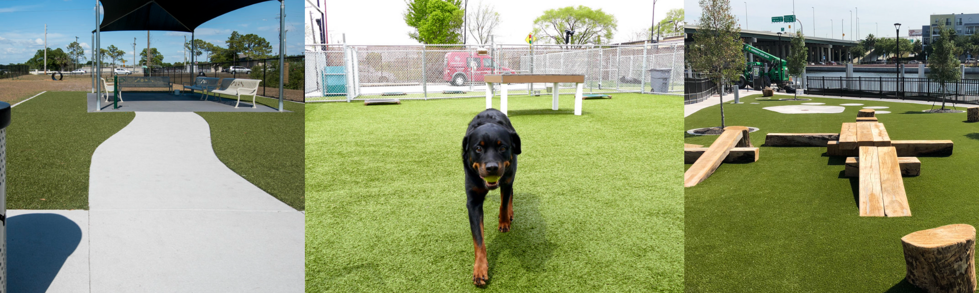 ForeverLawn+Texas+Dog+Parks
