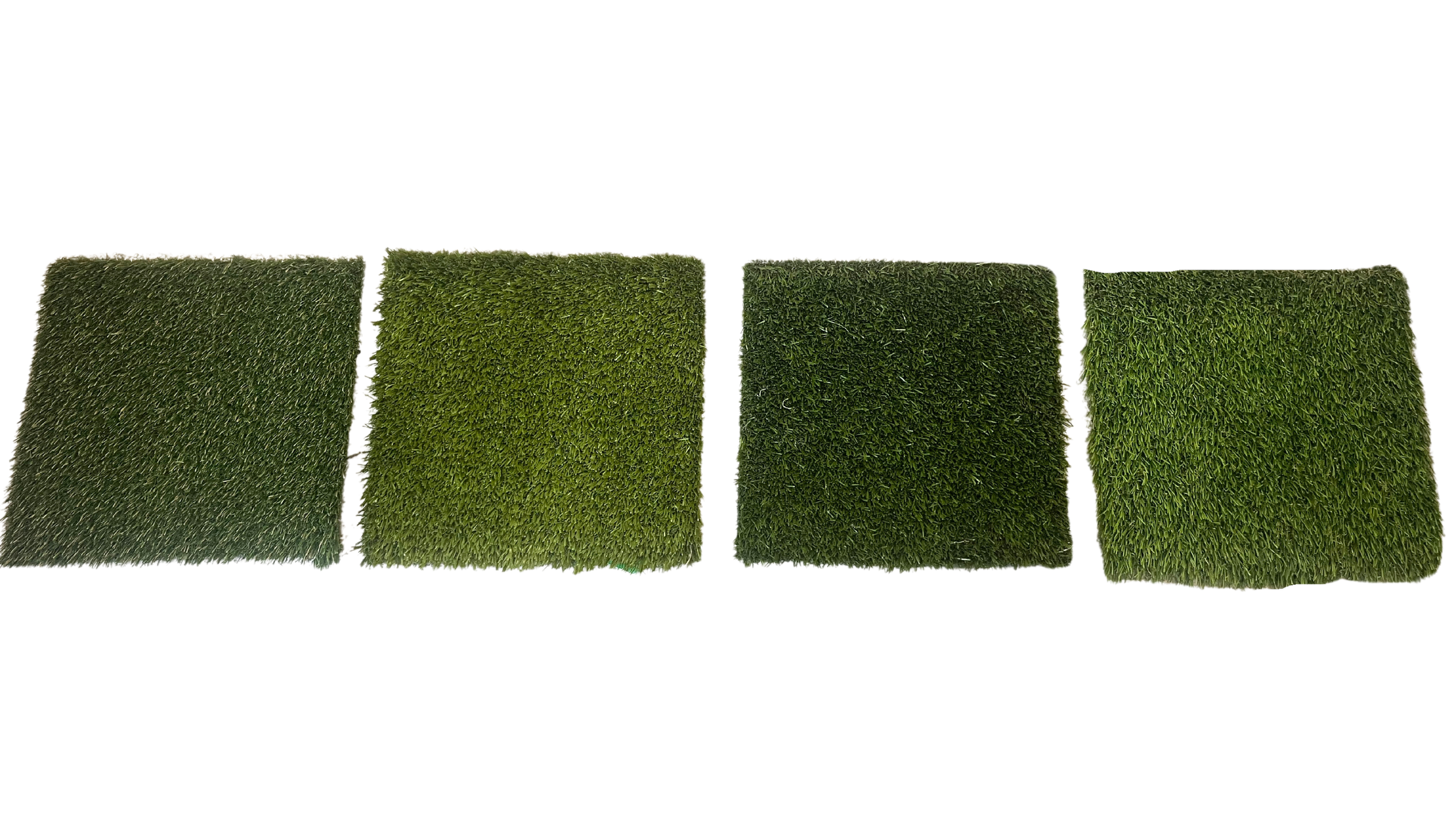 K9+Grass+Solutions